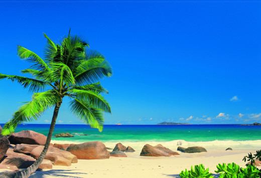 620772 (a): :2500x1706